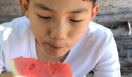 壁纸吃瓜男孩,揭秘网络红人的崛起之路