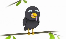 虫儿吃瓜的图片