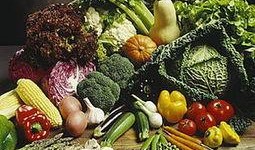 搭档吃瓜,揭秘娱乐圈幕后真相