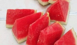 吃瓜到处跑,跟随热点，畅游信息海洋