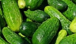 梦见原吃瓜仔,原吃瓜仔的奇幻梦境之旅