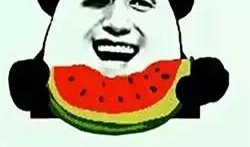 吃不吃瓜不吃,吃不吃瓜，生活依旧精彩