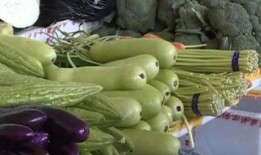 高铁带花吃瓜,畅享旅途美好时光