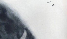 人生无常吃大瓜