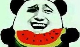 吃瓜打对,吃瓜群众眼中的娱乐圈风云变幻