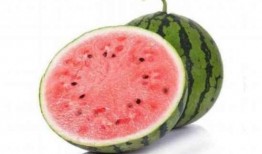 如何吃麒麟瓜,解锁美味新境界