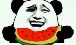 吃瓜群众郑妹妹小说,吃瓜群众的奇幻冒险之旅