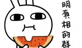 网站吃瓜八酱,吃瓜八酱带你领略幕后风云