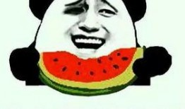 免费吃瓜群众套路,揭秘网络热议背后的真相