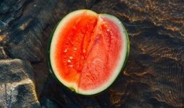 床底吃瓜,一场意想不到的趣味探险