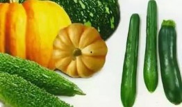 神祇吃瓜,探寻神话中的神秘果实