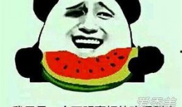 吃瓜投稿什么意思,网络热词背后的娱乐现象