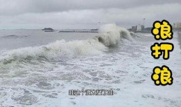 吃瓜大浪浪,揭秘娱乐圈幕后风云