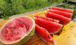 怎么吃瓜更好吃,揭秘如何吃瓜更美味