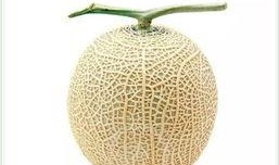 不同的吃瓜方法,解锁不同吃瓜姿势，尽享夏日清凉时光