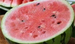 如何吃麒麟瓜,解锁美味新境界