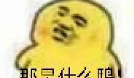 在线吃瓜女孩表情包,网络时代的幽默风向标