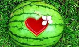 梦见原吃瓜仔,原吃瓜仔的奇幻梦境之旅