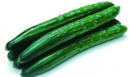 种瓜没瓜吃,揭秘农业生产的必然规律