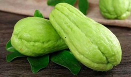 莱芜吃瓜啥意思,网络热词背后的文化现象