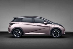 比亚迪海豚吃瓜,新能源汽车界的“吃瓜群众”新宠