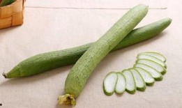 生病不忘吃瓜,健康与娱乐的完美融合