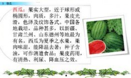 吃瓜45页ppt,一场视觉与味蕾的盛宴