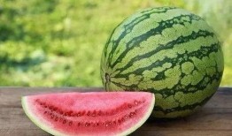 吃不吃瓜黄瓜还是西瓜,吃瓜还是西瓜，揭秘黄瓜与西瓜的饮食奥秘