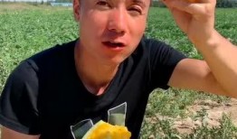 吃瓜里需要擦干子,如何轻松擦干子，享受清爽夏日