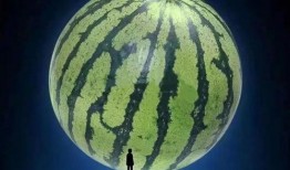 新歌吃瓜,带你领略音乐与生活的趣味碰撞