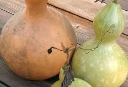 吃葫芦瓜搞笑配音,笑料横生的配音盛宴