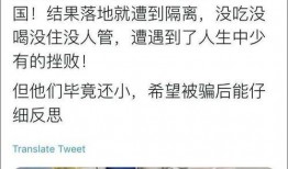 信宜吃瓜事件始末,一场网络热议背后的真相与反思