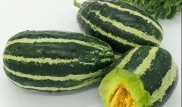 51黑瓜吃料网每日大瓜,揭秘今日娱乐圈大事件，带你领略明星幕后风云