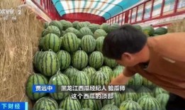 阿雷吃瓜,揭秘娱乐圈幕后故事