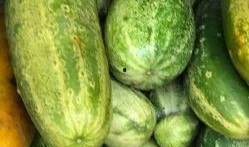 乡饮吃瓜视频,一场别开生面的乡村吃瓜体验