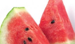 虫儿吃瓜的图片