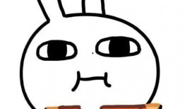 新歌吃瓜,带你领略音乐与生活的趣味碰撞