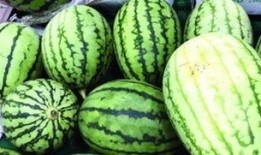 为什么围观叫吃瓜,围观背后的社会心理解码