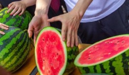 学院视频吃瓜,视频吃瓜背后的真相与笑料