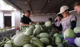 吃瓜要去蕊,探寻“要去蕊”背后的故事