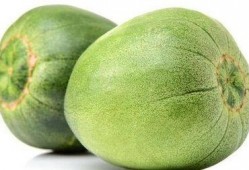 青皮瓜怎么吃不甜,解锁不甜口感新体验