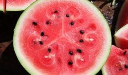 吃瓜不吃瓜苦,吃瓜不吃瓜苦，品味生活甘甜