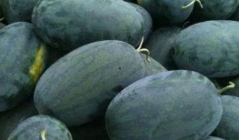 吃瓜产花,揭秘娱乐圈的甜蜜与苦涩