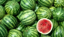 热河吃瓜,吃瓜群众狂欢记