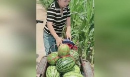 火爆吃瓜结局,真相大白，反转再反转！