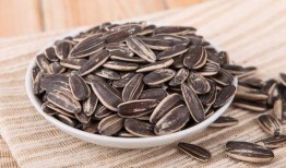 走进瓜园吃瓜子