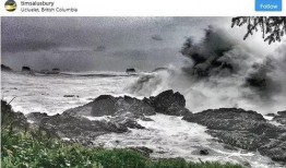 吃瓜大浪浪,揭秘娱乐圈幕后风云