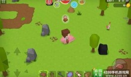 吃瓜大世界 2,揭秘娱乐圈背后的秘密与真相