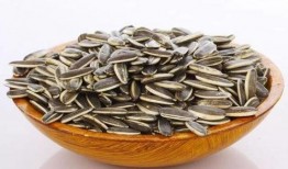 走进瓜园吃瓜子