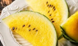 床底吃瓜,一场意想不到的趣味探险